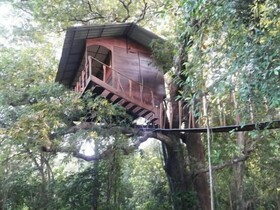 Book Jungle