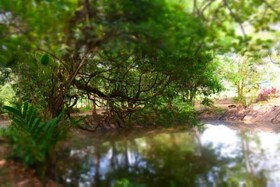 Book Jungle