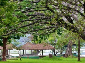 Habarana Village by Cinnamon