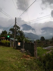 Hamadhi Guest