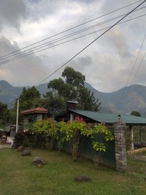Hamadhi Guest