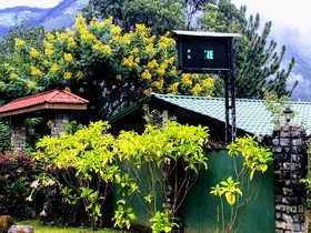 Hamadhi Guest