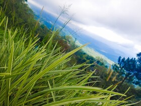 Hill House Haldummulla