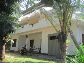 Jungleside House