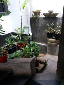 Whispering Palms Tourist Rest