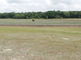 Seth Dev Lagoon Chalets