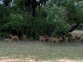 Seth Dev Lagoon Chalets