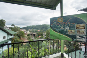 Amanda Hills
