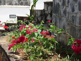 Amandari Holiday Villa