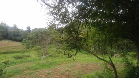 Ambanwala Tourist Bungalow