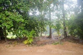 Ambanwala Tourist Bungalow
