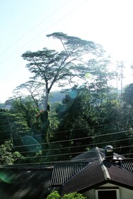Bethel Homestay