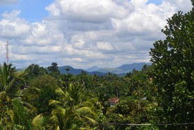 Blue Haven Guest House