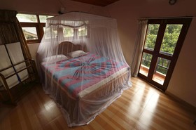 Blue Haven Guest House