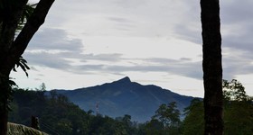 Blue Haven Guest House