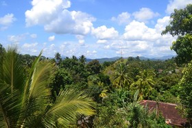 Blue Haven Guest House