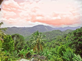 Brookside Nature Resort