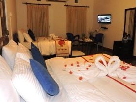 Cool Inn Tourist Lodge