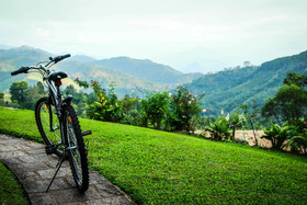 Hatale Tea Garden Bungalow