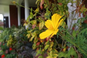 Kandy Greenview Boutique Hotel
