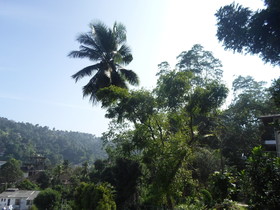 Kandy Hills Resort