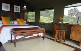 Madulkelle Tea and Eco Lodge