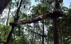 Madulkelle Tea and Eco Lodge