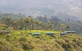 Madulkelle Tea and Eco Lodge