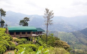Madulkelle Tea and Eco Lodge