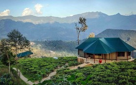 Madulkelle Tea and Eco Lodge