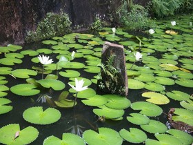 Mowbrey House Kandy