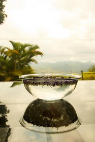 Randholee Resort & Spa
