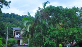 Rosewood Residence