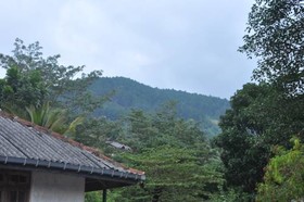 Rosewood Residence