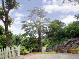 Sal Rock Falls Resort