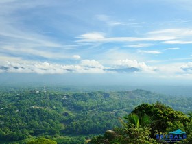 Skydale Homestay