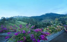 Skyloft Kandy