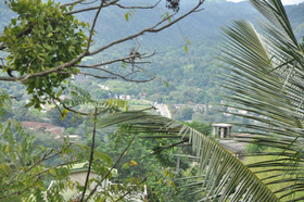 Springhill Homestay