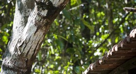 The Kandy Samadhi Center