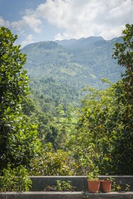 The Kandy Samadhi Center