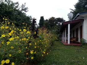 Treasure Villa