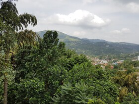 Villa 107