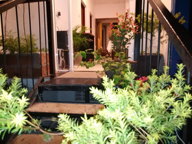 Villa Forest View