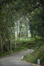 W15 Hanthana Estate Kandy