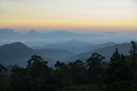 W15 Hanthana Estate Kandy