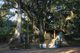 W15 Hanthana Estate Kandy