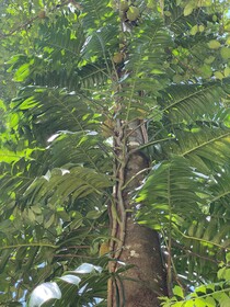 Moksha At Kitulgala