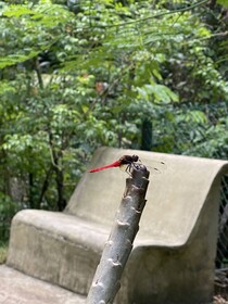 Moksha At Kitulgala