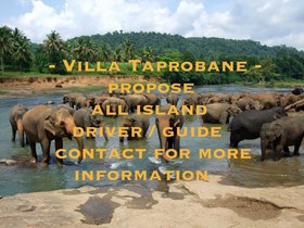 Villa Taprobane
