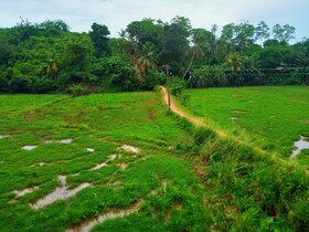 Green View Guest